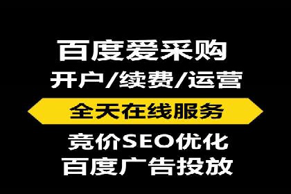 SEM公司案例研究：数据驱动营销策略